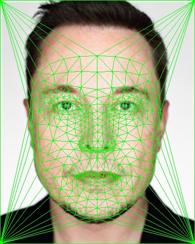 Elon triangulation