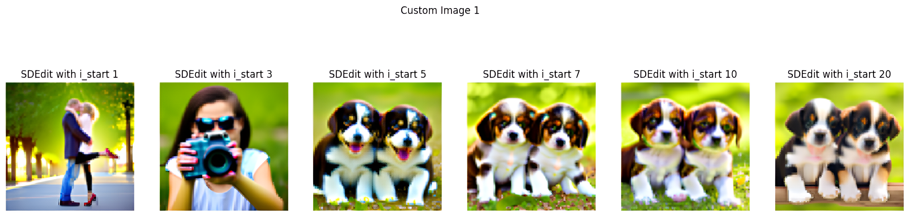 Edits for Dogs Image