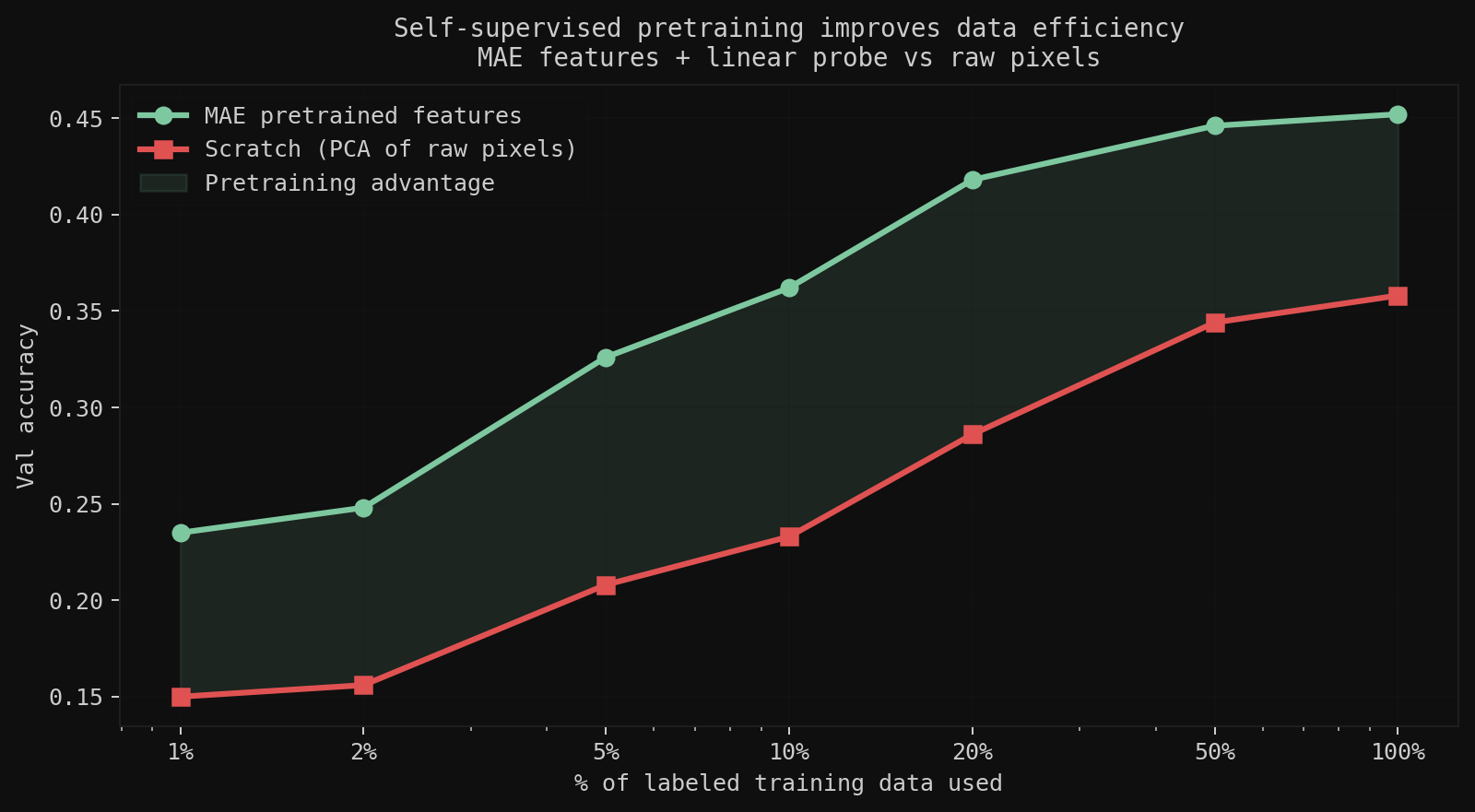 MAE pretrained features vs scratch — at 1% labels, pretraining is 57% more accurate