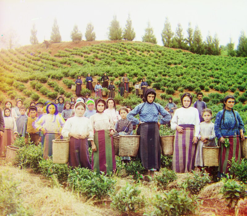Harvesters